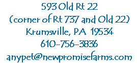 address